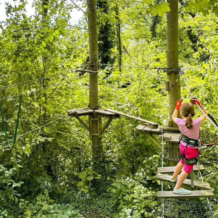 -10% | A thrilling day close to nature - Ecopark adventures (tree Courses)