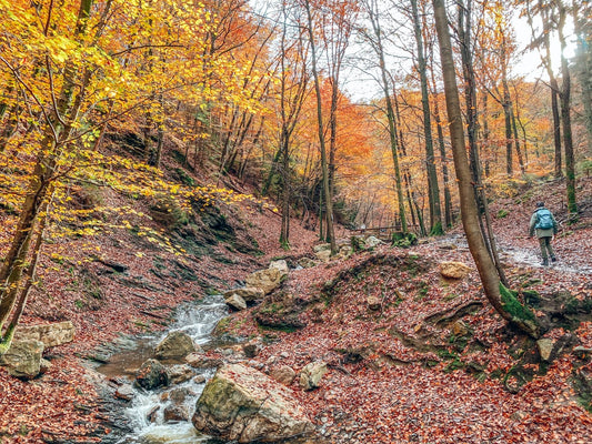 Unforgettable walk along the 'mountain' stream of Ninglinspo