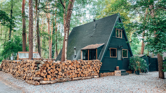 Het Punthuisje: Unique stay in an A Frame cabin