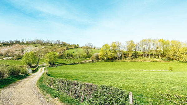 Discover Your Ideal Holiday Home with Ardennes Etape