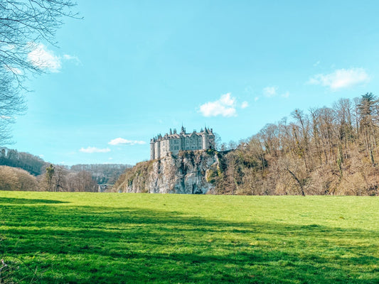 Walzin castle, kasteel van Walzin, château de Walzin