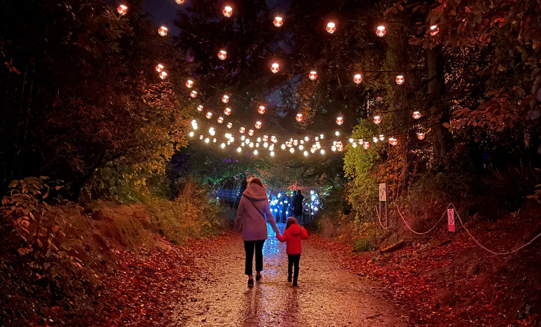 5 x light festivals and light walks to visit during autumn & winter
