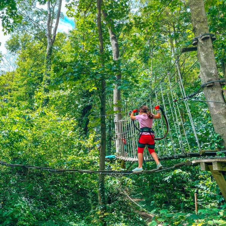 -10% | A thrilling day close to nature - Ecopark adventures (tree Courses)