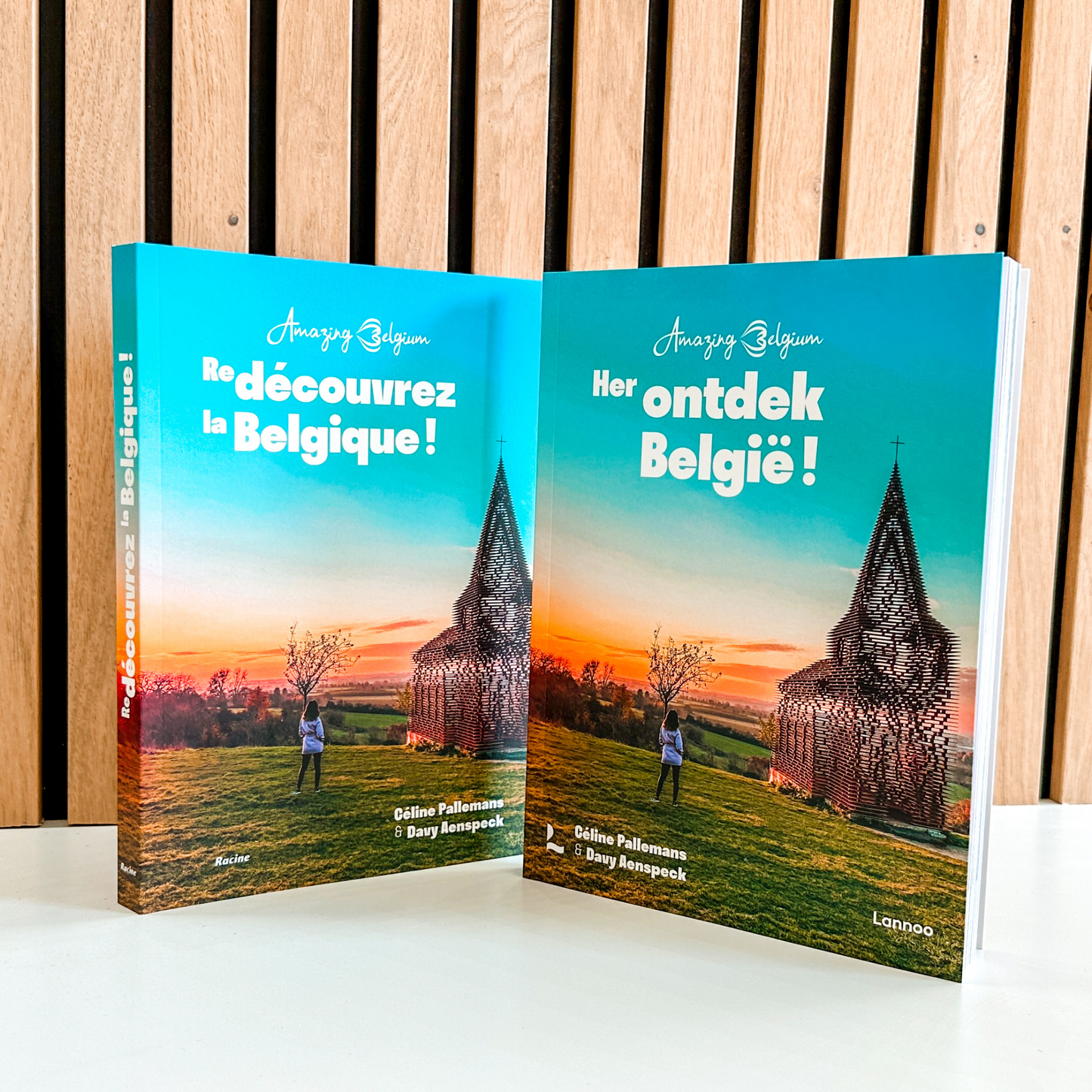 Book Rediscover Belgium (French or Dutch)