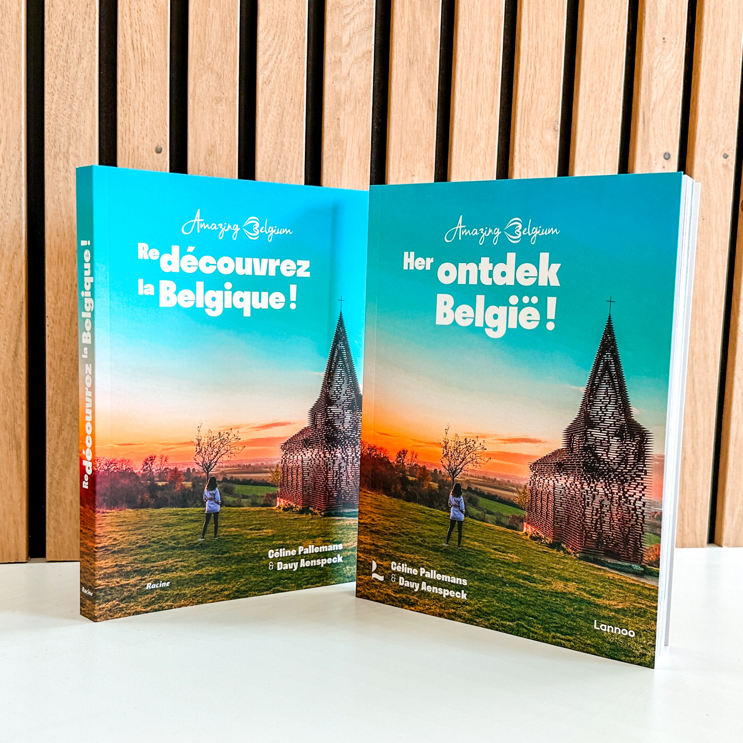 Boek "Herontdek België"